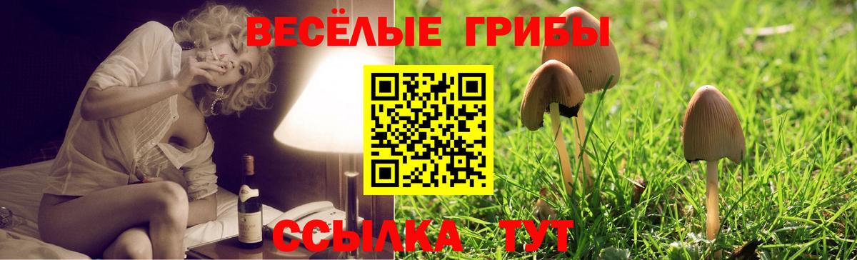 Псилоцибиновые грибы Psilocybe  продажа наркотиков  Гусев  Вход с VPN 